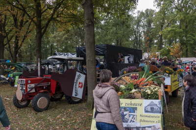 20191013-Erntefest_2019_33 (Large)